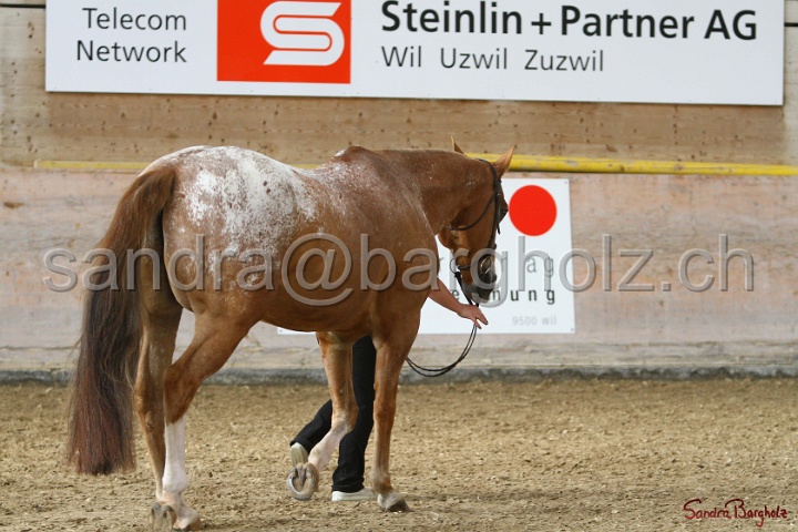 24-ApHC HIH_092.jpg